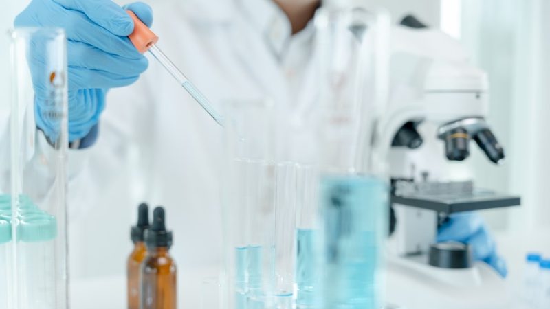酶与酵素：揭秘两者之间的奥秘**