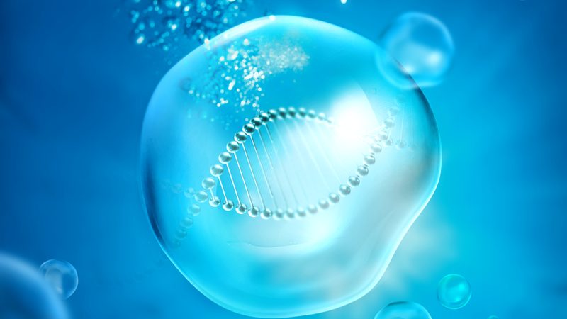 CDMO定制研发生产厂家：揭秘药物研发背后的“隐形英雄