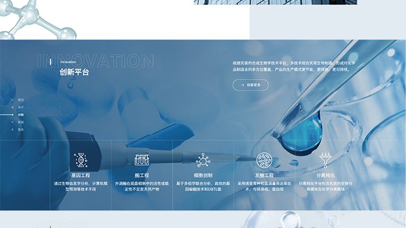 蛋白质表达定制服务：揭秘高效定制化策略**