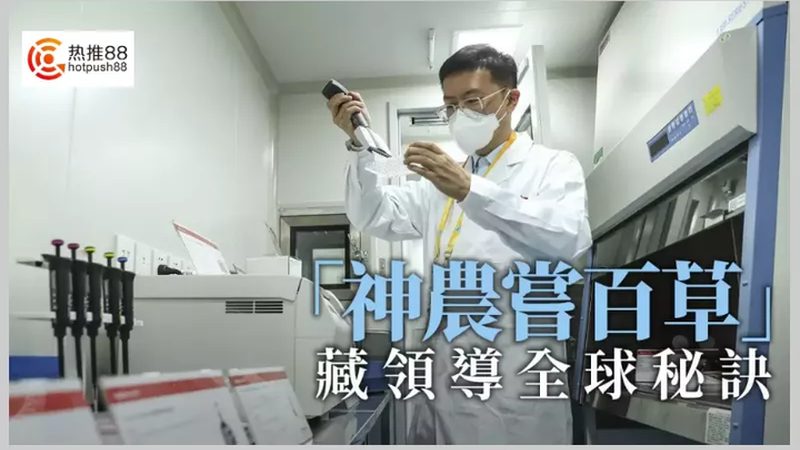 CDMO项目合作合同：关键要点与风险防范