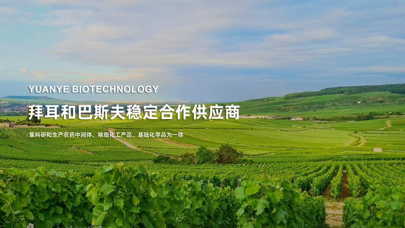 基因检测加盟代理：成都市场如何选择优质合作伙伴**