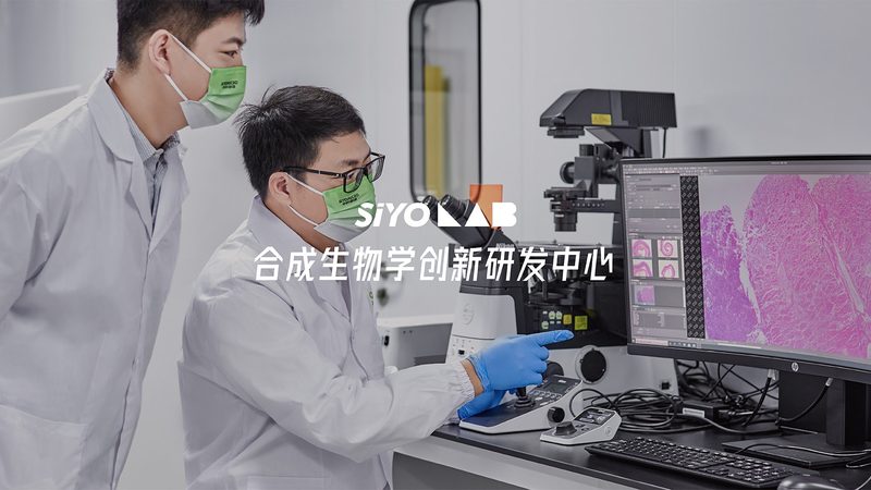 CDMO工艺流程：揭秘其成本构成与影响因素