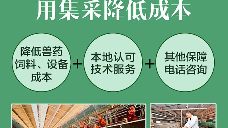 生物制品GMP认证：周期揭秘与影响因素