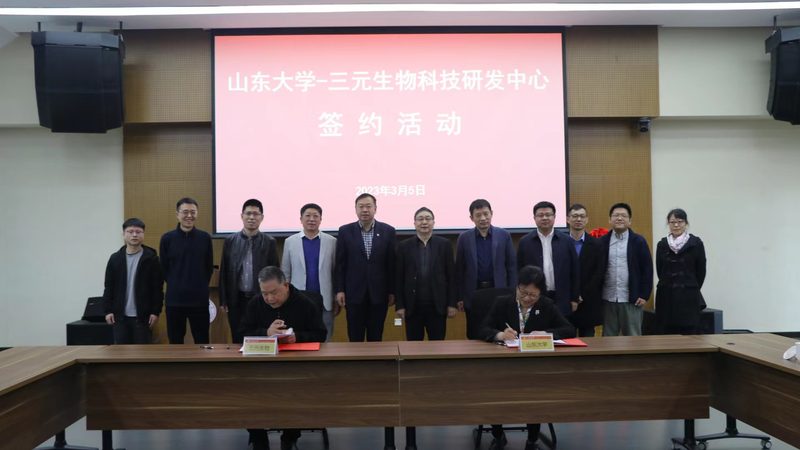 CDMO定制研发合同：揭秘合同要点与关键考量