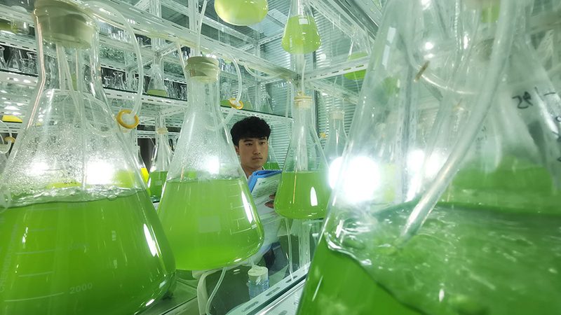 培养基过期，细胞生长受影响？揭秘过期培养基的潜在风险**